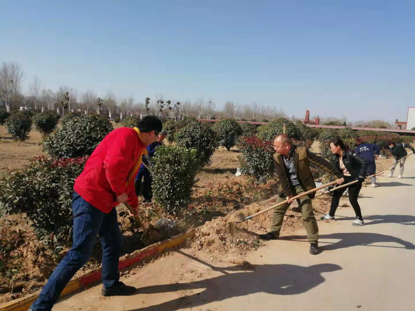 1552461116042050062.jpg 5.jpg