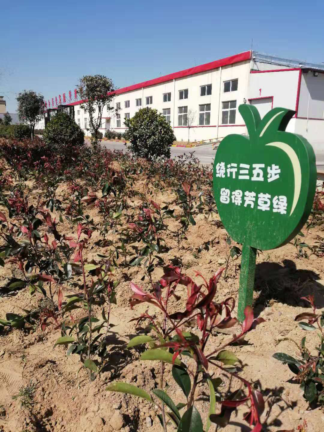 1552461221681011926.jpg 9.jpg