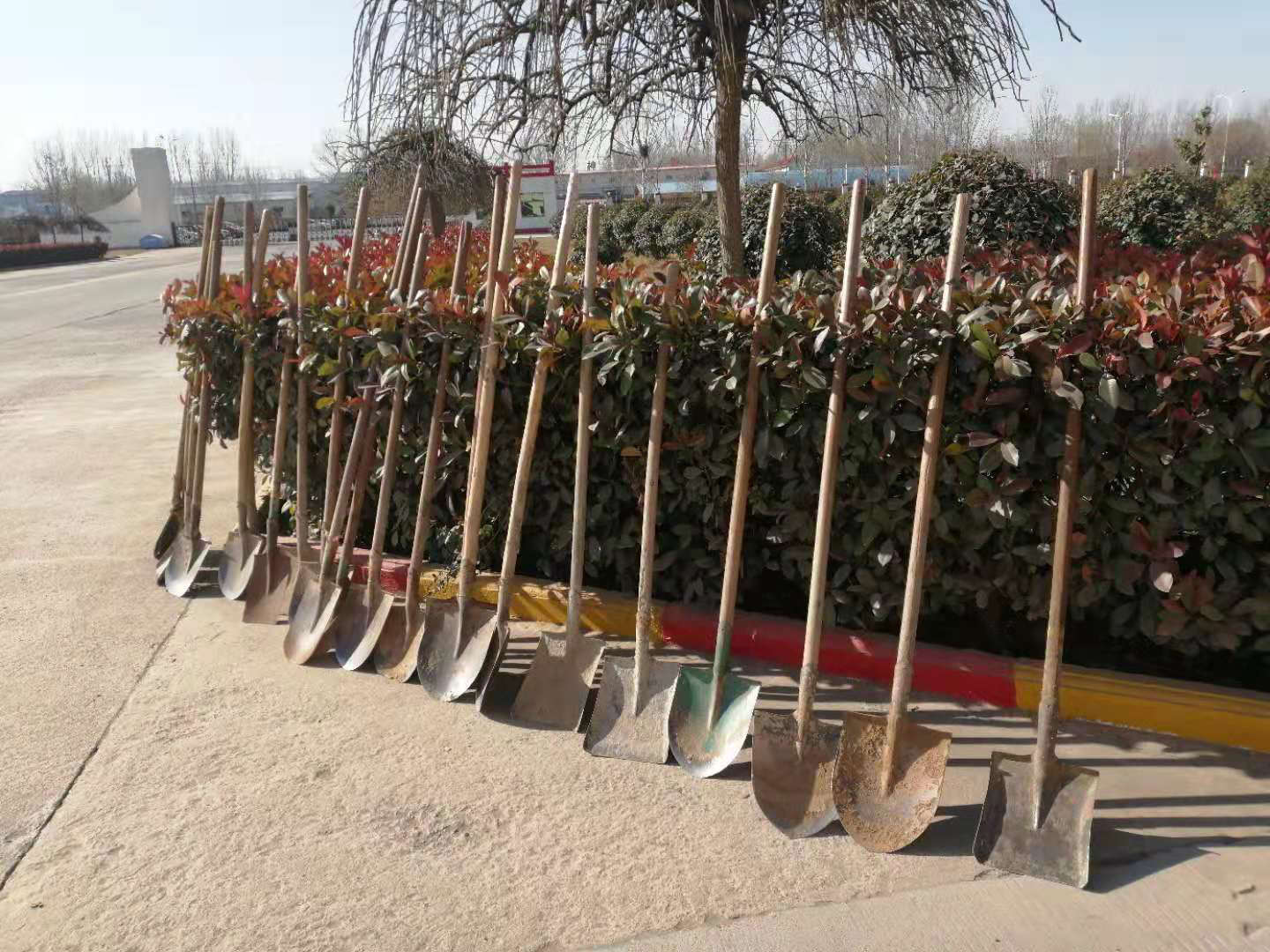 1552461743709079987.jpg 2.jpg